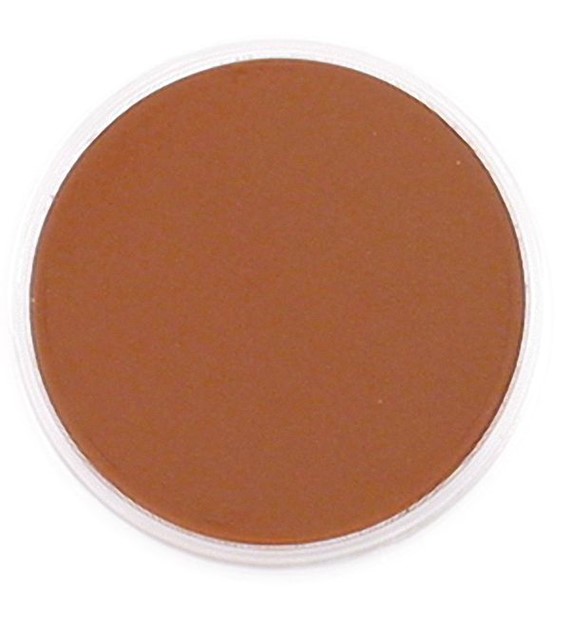 PanPastel Burnt Sienna Shade 9ml