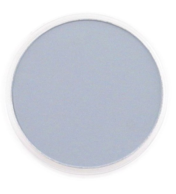 PanPastel Paynes Grey Tint 7 9ml