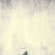 WB Flake White 236ml -farba